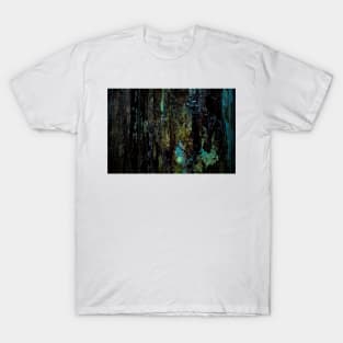 Colourful Wood Rot T-Shirt